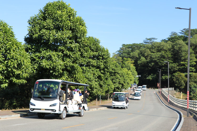 电动观光车